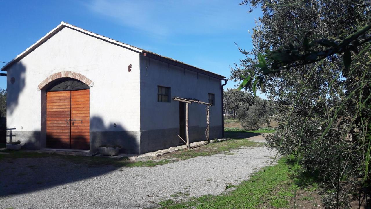 Agriturismo Monte Alzato Capalbio Eksteriør bilde