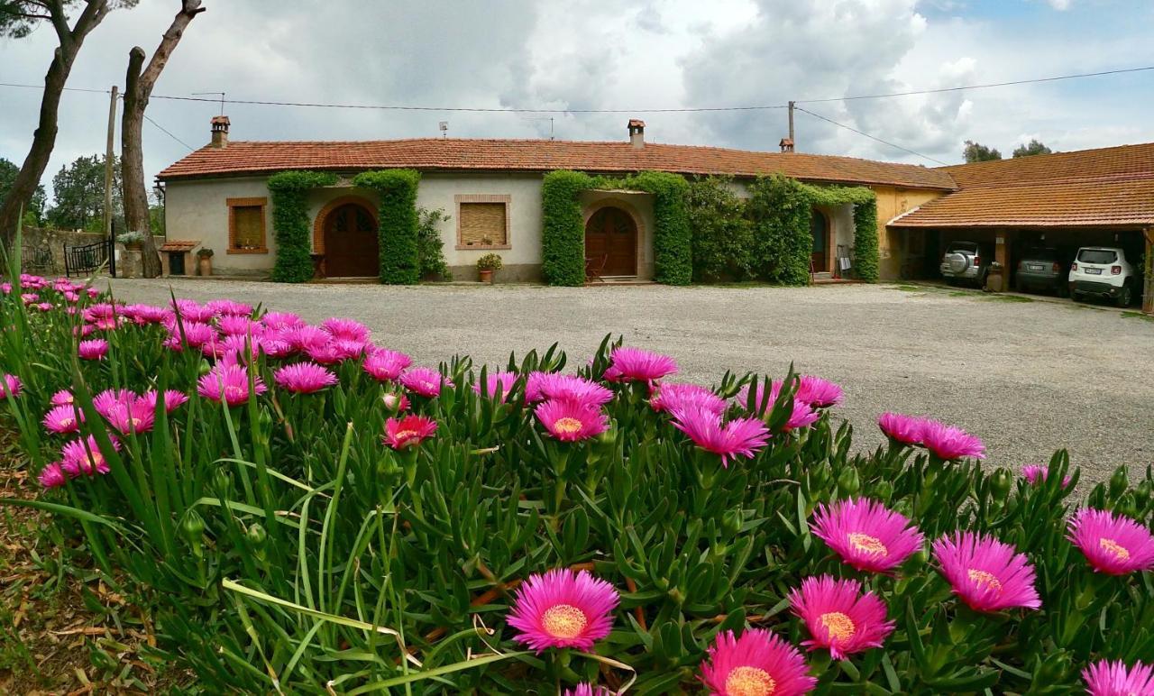 Agriturismo Monte Alzato Capalbio Eksteriør bilde