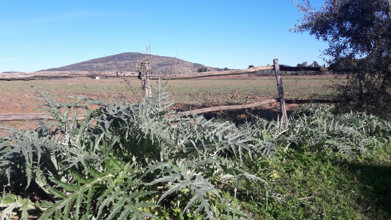 Agriturismo Monte Alzato Capalbio Eksteriør bilde