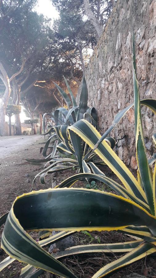 Agriturismo Monte Alzato Capalbio Eksteriør bilde