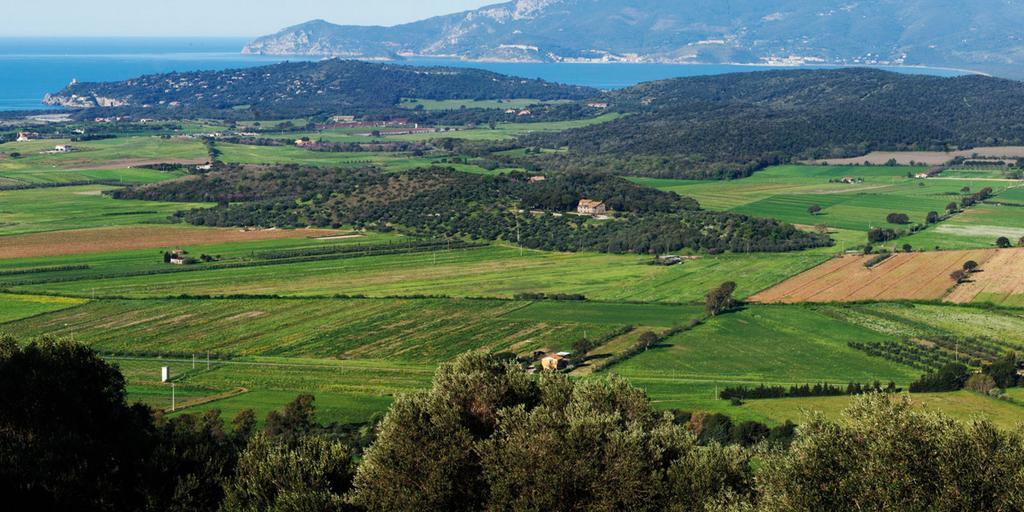 Agriturismo Monte Alzato Capalbio Eksteriør bilde