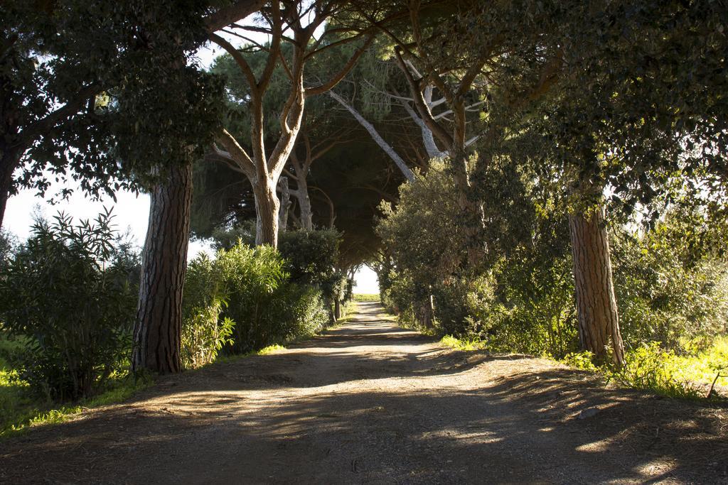 Agriturismo Monte Alzato Capalbio Eksteriør bilde