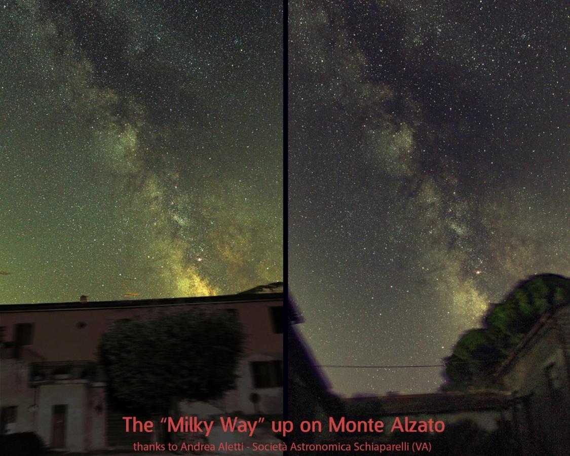 Agriturismo Monte Alzato Capalbio Eksteriør bilde